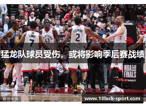 猛龙队球员受伤，或将影响季后赛战绩